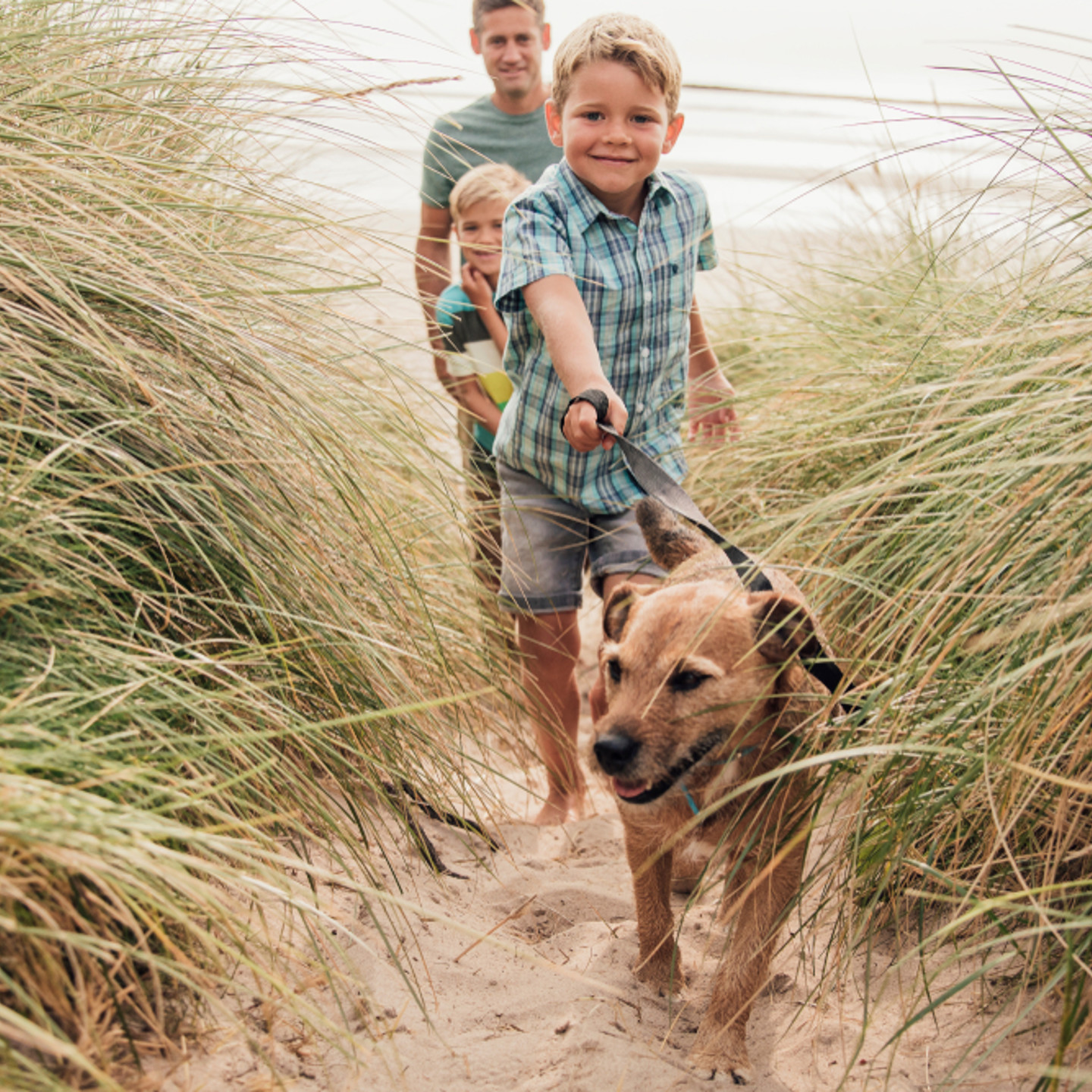 Family walking dog on beach