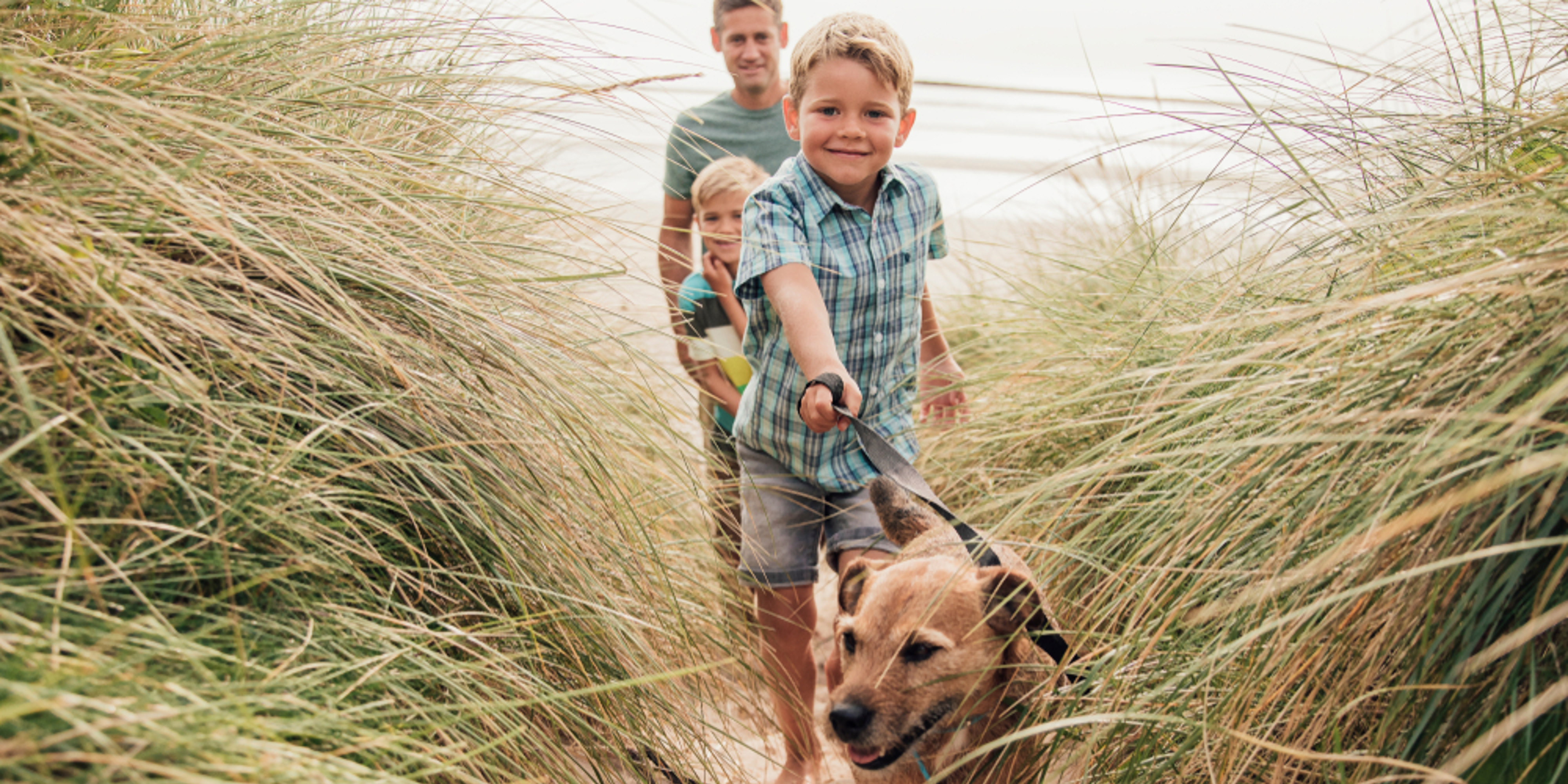 Family walking dog on beach