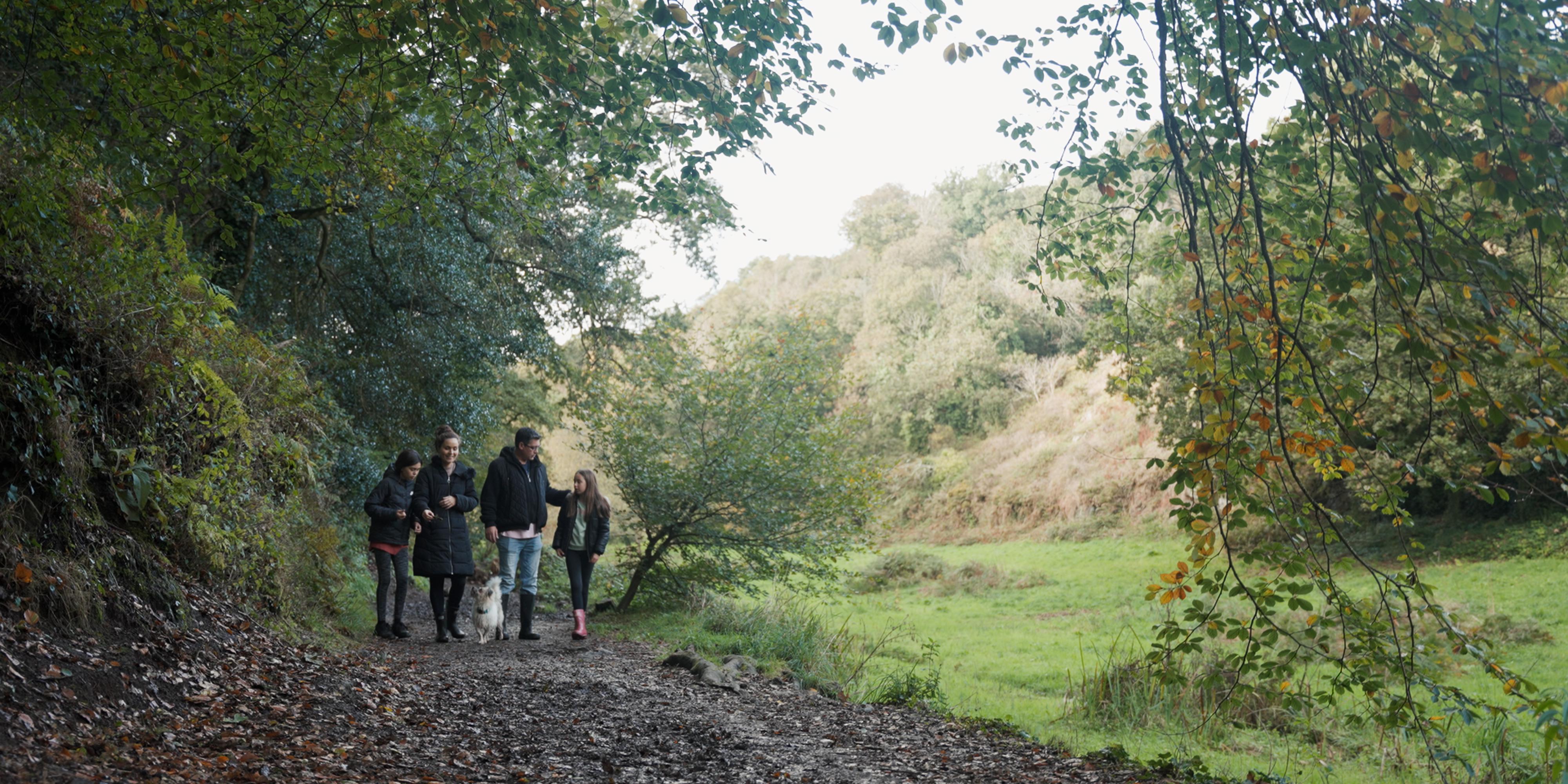 Autumn walk around St.Catherine’s Woods