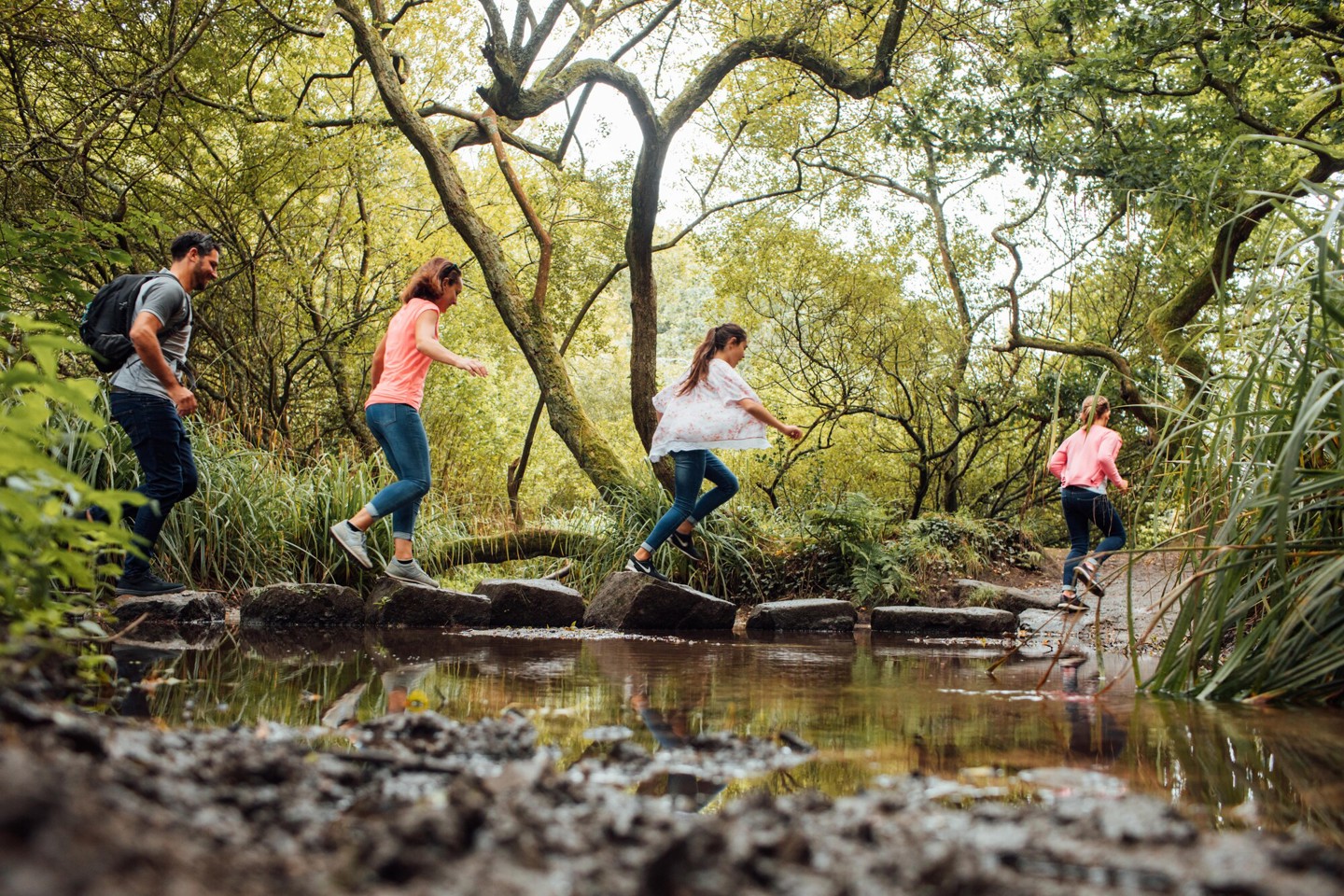 Family exploring the woods