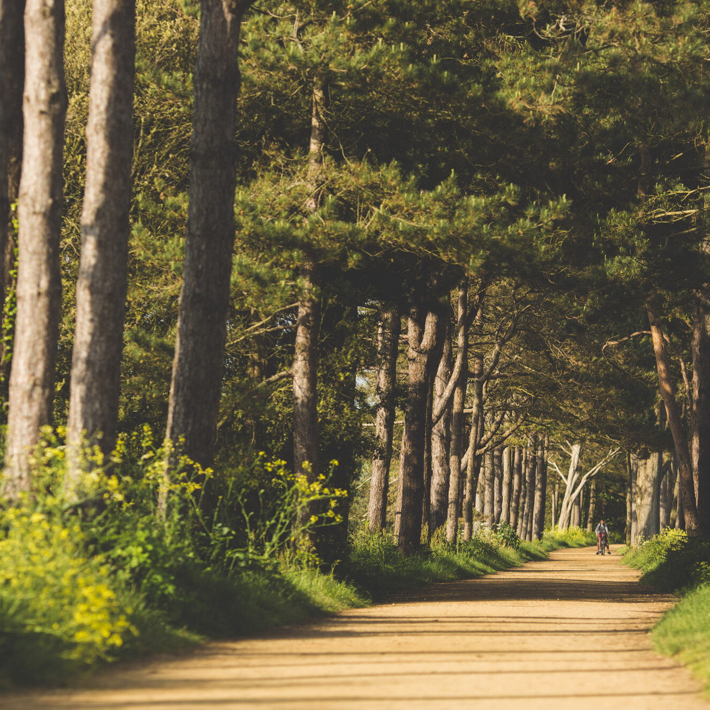 St. Brelade’s Cycle Track