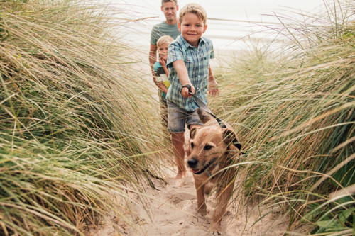 Dogs on the Sand Dunes